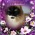 Helen Hale's profile image