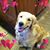 Peggy Arndt's profile image