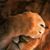 Rich Buckley's profile image