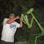Mark Arcenas's profile image
