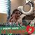 Melissa Gómez's profile image