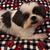 Mary Barnish Cerceo's profile image
