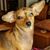 Carolyn Christie's profile image