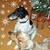 Christine McCord's profile image