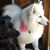 Lynn Dufek's profile image
