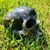 Philip Penland's profile image