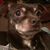 Bobbie Layman Stansell's profile image