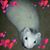 Lisa Michels's profile image