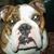 Sandy Johnson's profile image