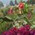 Estela Giron's profile image
