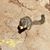 Barry Crone's profile image
