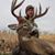 Jason Thibodeau's profile image