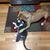 Renee Celeste Hawkins's profile image