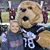 Madison Key's profile image