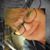 Paula Bigley's profile image