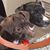 Sanni Margolies's profile image