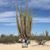 Virginie Ariza's profile image