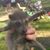 Michael Todd Shivley's profile image