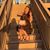 Mehrafza Muntazir's profile image