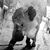 Shearer Wludyka Cjf Asf's profile image