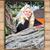 Rhonda Lench's profile image