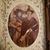 Susan Slate Crossett's profile image