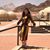 Isabel Figueredo's profile image