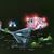 Lucille Maes's profile image