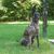 Lisa Clyne's profile image