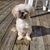 Amy Rose Vitagliano's profile image