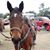 Linda Nelson's profile image