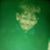 Debbie Westerman's profile image