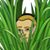 Chris Anderson's profile image