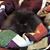 Diane Beasley's profile image