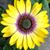Kerri Higgins's profile image