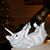 Yvette Pfeiffer's profile image