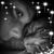 Tanya Letourneau's profile image