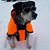 Suzanne Millard Banker's profile image