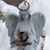 Ginger McCormick's profile image