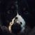 Annelle Lerner's profile image
