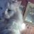 Kathy Stephanishen's profile image