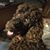 Kathe Bristle Allison's profile image