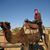 Mimi Hasen's profile image