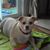 Claire Waltman's profile image