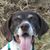 Deborah L Bass's profile image