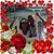 Lidia Carvalho's profile image