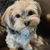 Stacy Taylor Nichols's profile image