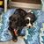 Treasa Huffman Edmiston's profile image