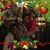 Horacio Fuerte's profile image