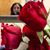 Diana Pliner's profile image